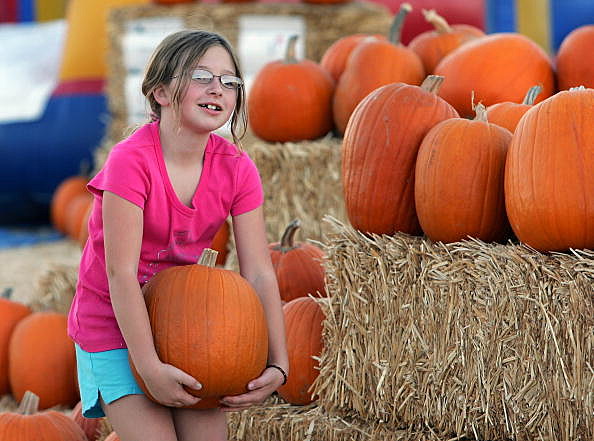 Pumpkin Patch Attracts Fall Revelers