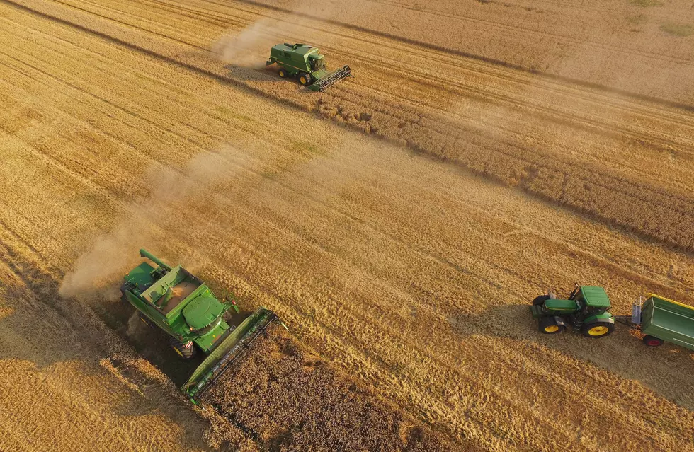 Ag News: Russia Wheat Expansion