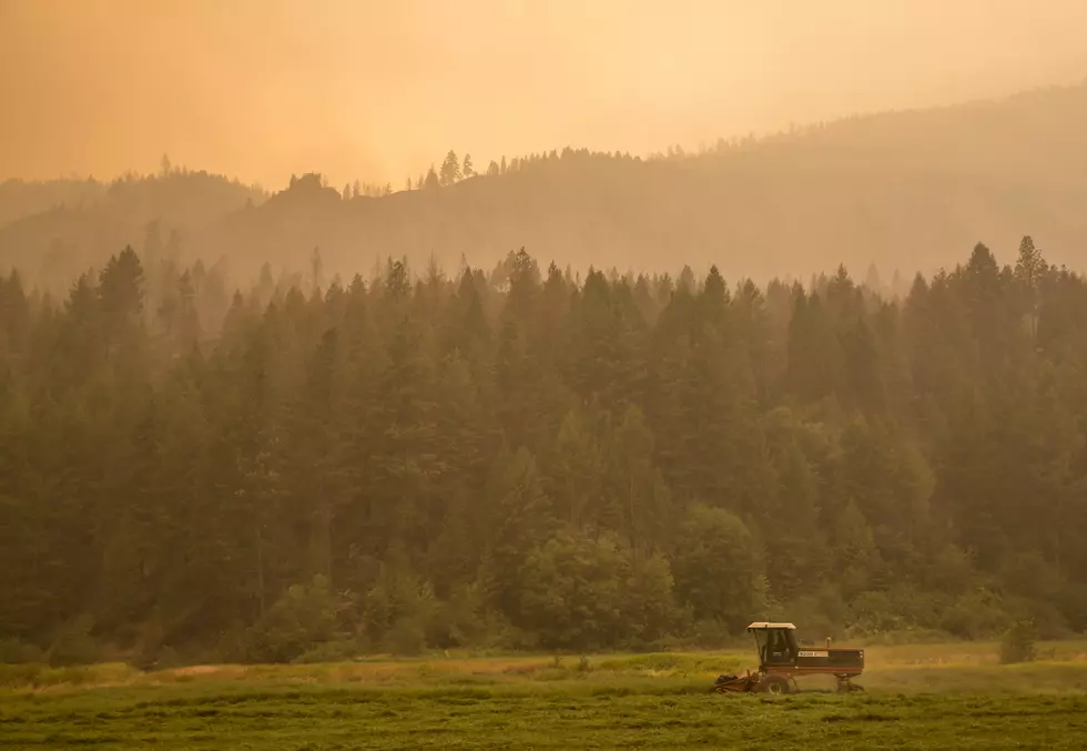 $10 Million Funds to Restore Wildland Sagebrush Communities; Alfalfa Crop Damage Due Low Temps
