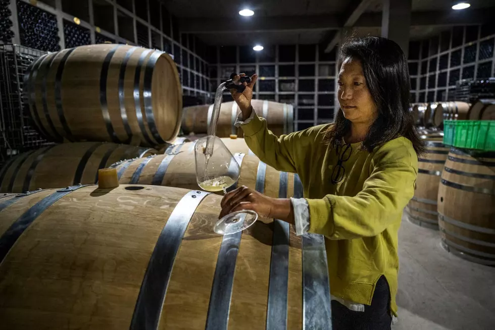 The Booze You Choose Affects Body Fat – A Love Letter To Wine