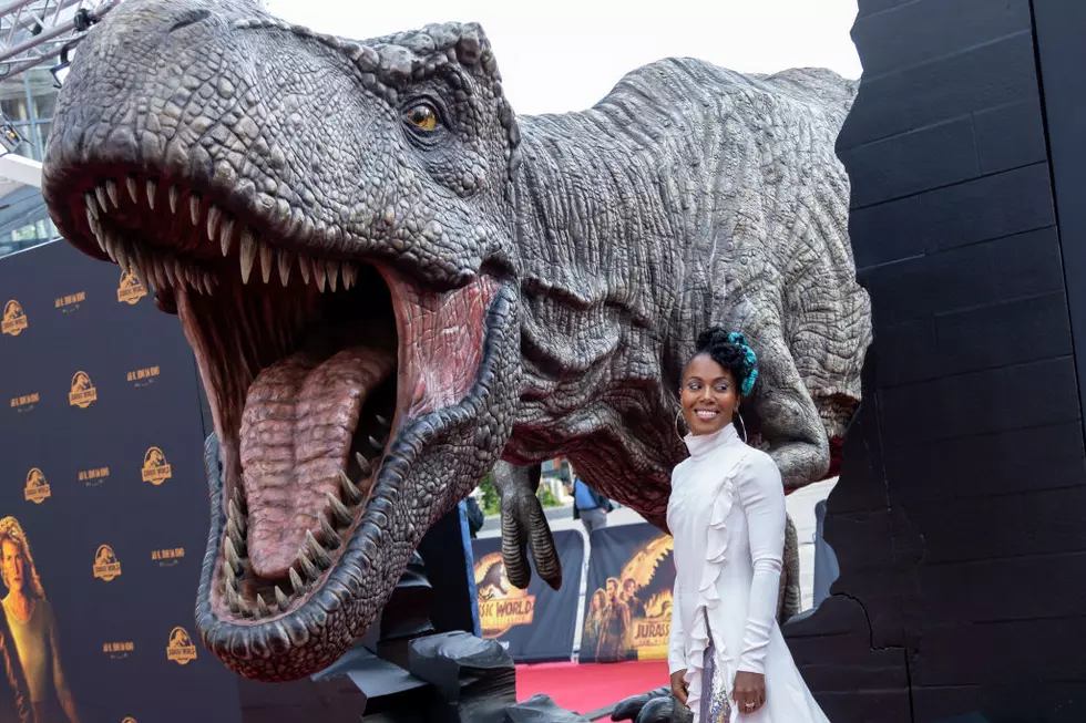 "Jurassic World: Ein neues Zeitalter" Photocall In Cologne