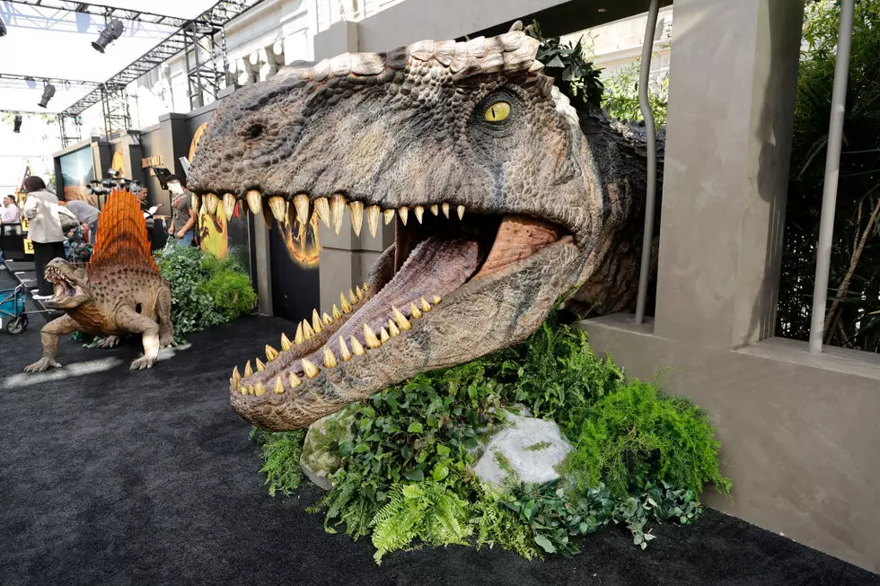 Los Angeles Premiere Of Universal Pictures "Jurassic World Dominion" - Red Carpet
