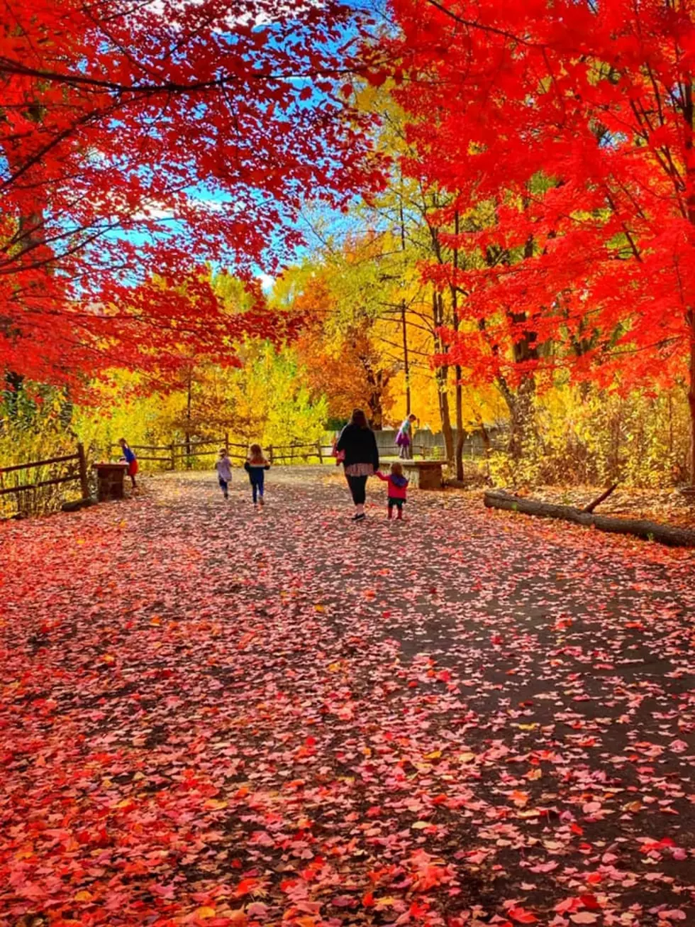 Spectacular Fall Colors Across the Yakima Valley (Photo Gallery)