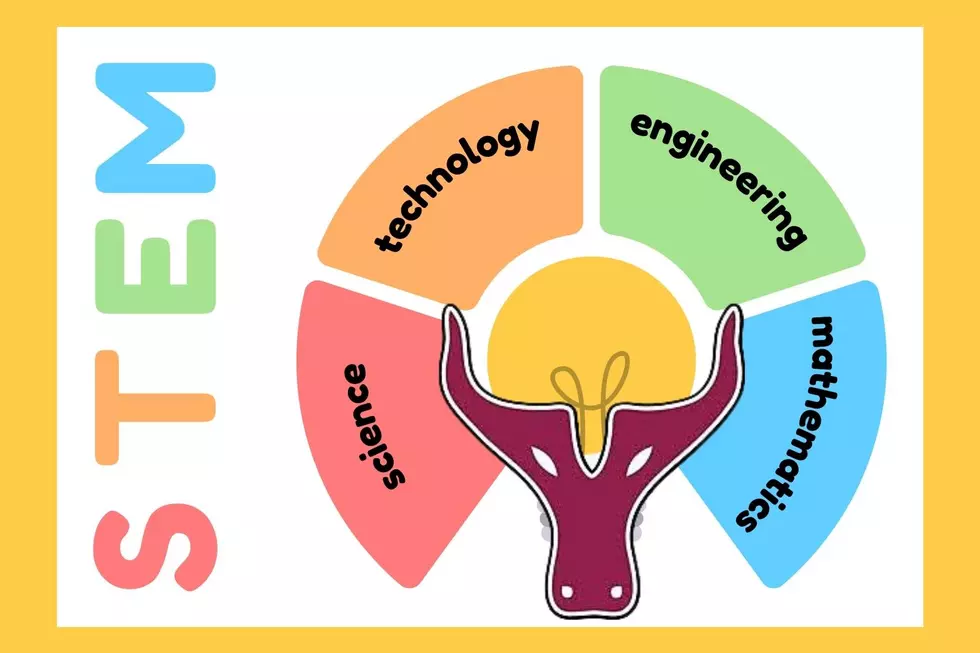 Free STEM Day Set for Youths Ages 4 to 11 at YVC