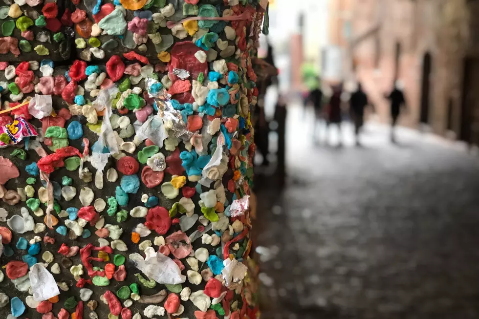 10 Fun Seattle Activities Worth Waiting in Line For