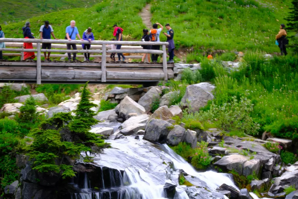 Seven Breathtaking Washington Waterfalls to Hike This Autumn