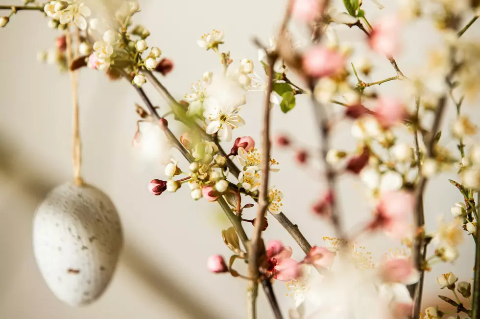 Yakima Valley Easter Events Worth Checking Out