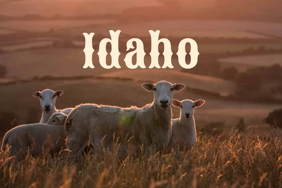 This Upcoming Fall Festival in Idaho Named One of the Best in USA