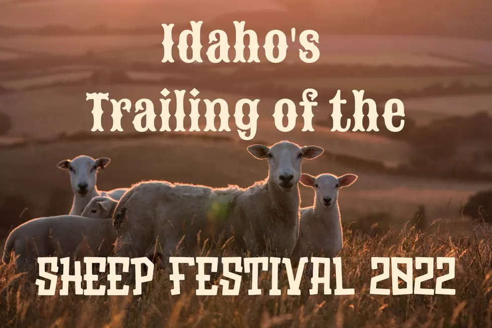 Idaho Trailing of the Sheep Festival Named one of the Best in the USA