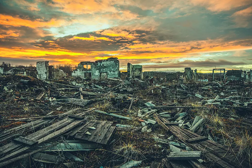 This Is What Earth Would Be Like If Humans Vanished