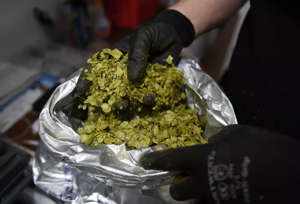 Win Tickets to Hemp and Hops at the SunDome