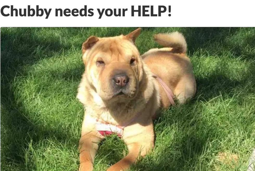These 5 Heartbreaking WA State GoFundMe’s Are Worth A Look